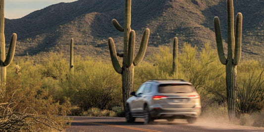 Car Safety Hammer for Arizona Drivers: 1,162 Annual Fatalities Make This Essential