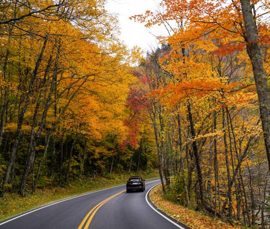 Car Safety Hammer for Tennessee Drivers: 1,138 Annual Fatalities Make This Essential