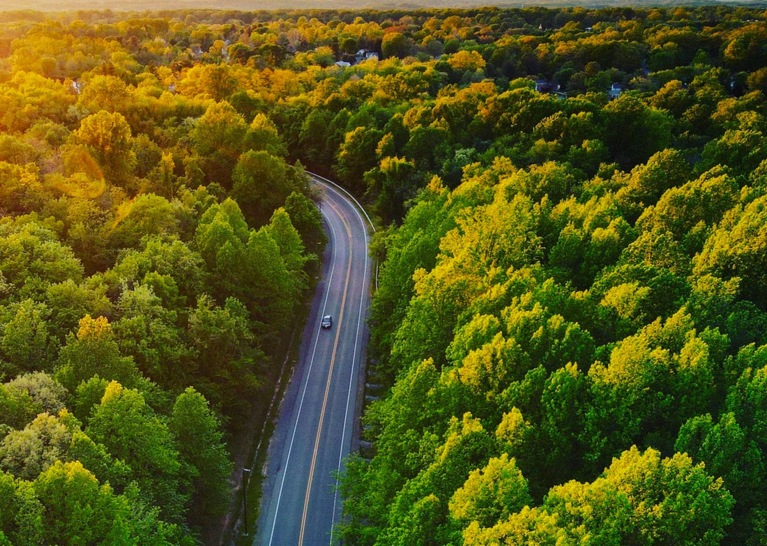 Car Safety Hammer for Georgia Drivers: 1,797 Annual Fatalities Make This Essential