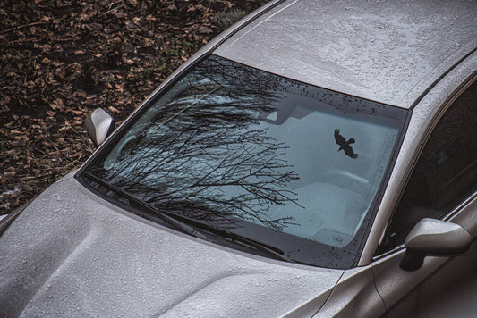Why Your Car's Windows Are Now Harder to Break (And What To Do About It)