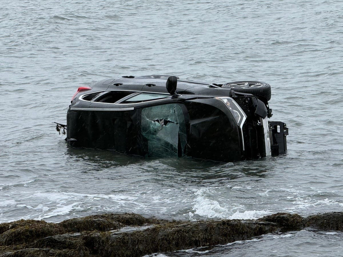 I Survived a Car Crash Into Water: Real Stories of Safety Hammer Rescues